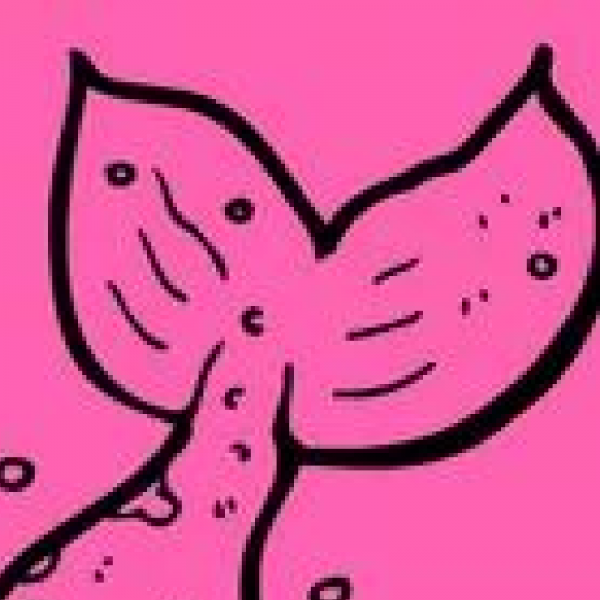 The Pink Mermaid Project Team Logo