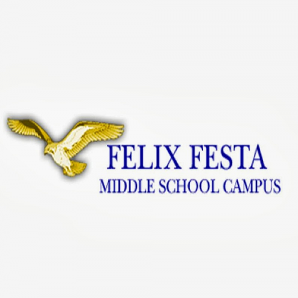 Felix Festa Team Logo