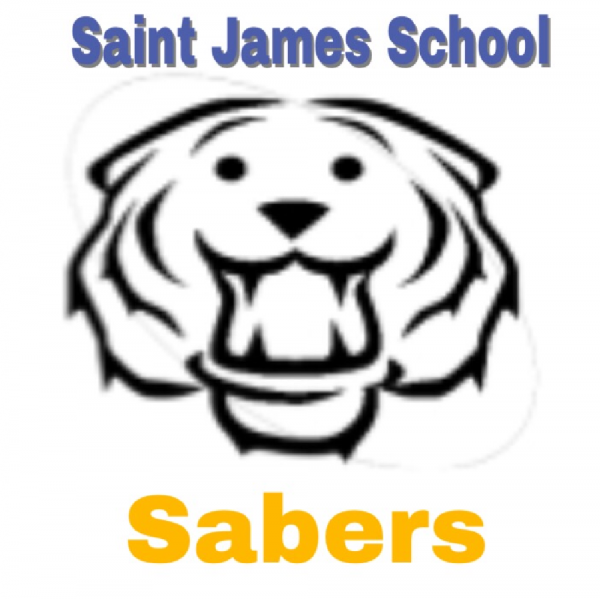 The Sabers Team Logo