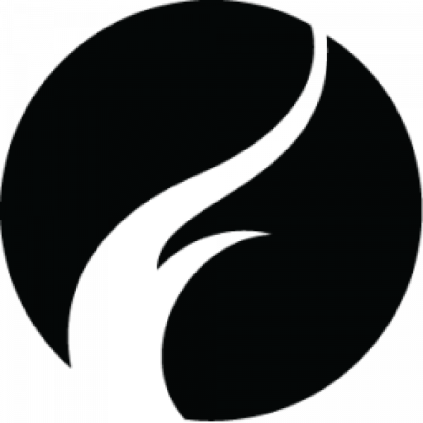 Firespring Team Logo