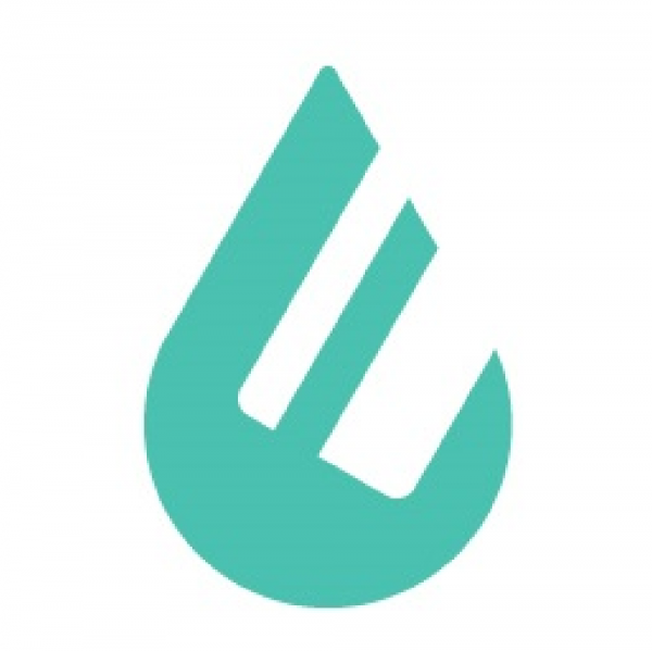 PaymentSpring Team Logo