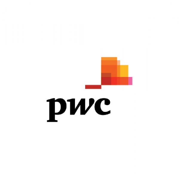 PwC Team Logo