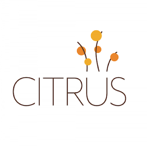 Citrus Salon Team Logo