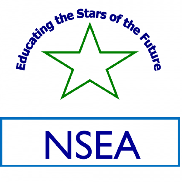 Team NSEA Team Logo