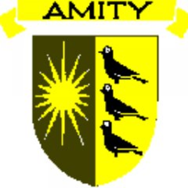 Amity Middle School Bethany Team Logo