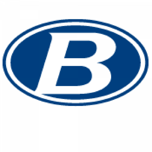 Brunswick Lacrosse Team Logo