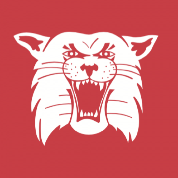 Team Wildcat Team Logo