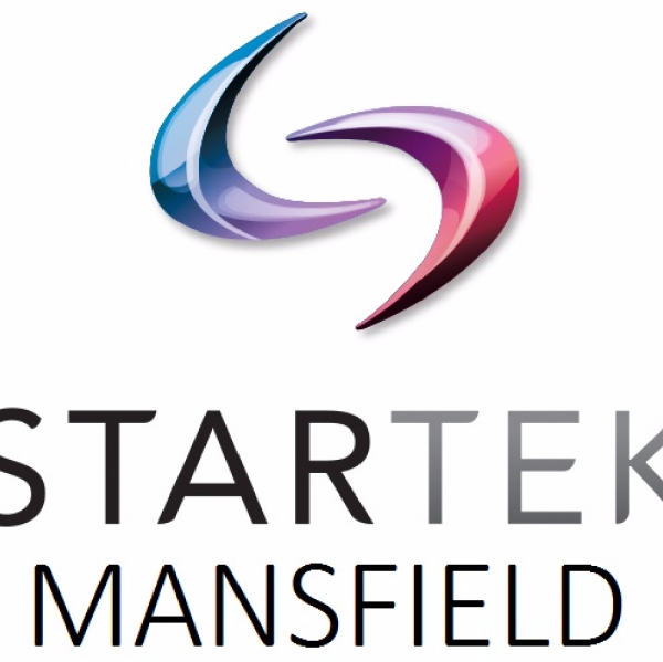 STARTEK Team Logo