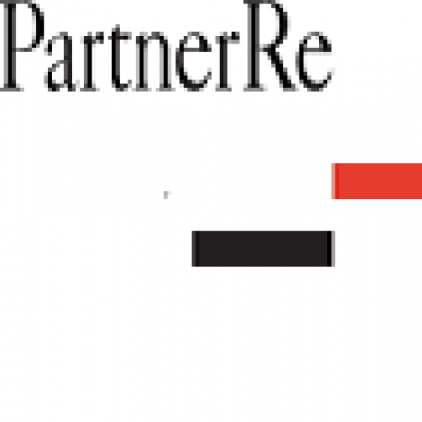 Team PartnerRe Team Logo