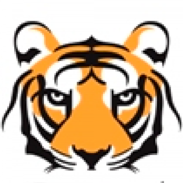 Team TigerRisk Team Logo