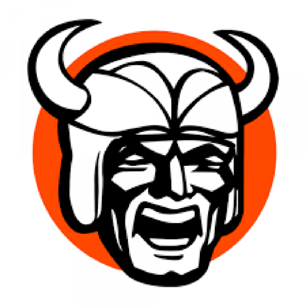Hoover Bald Vikes 2019 Team Logo