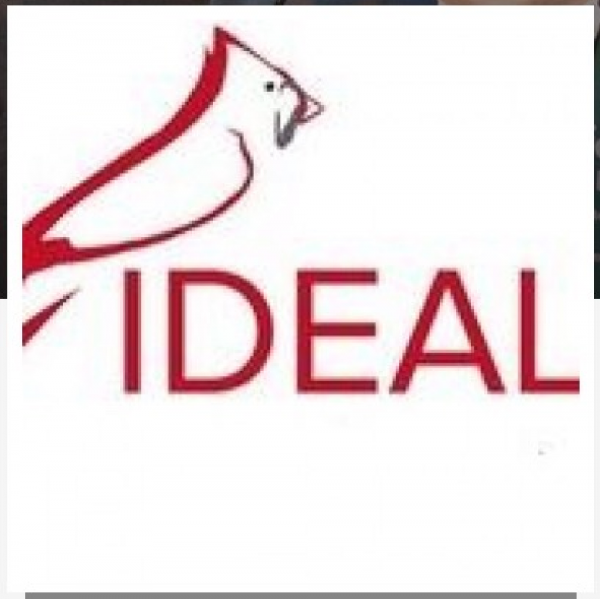 Team Ideal 2019 Team Logo