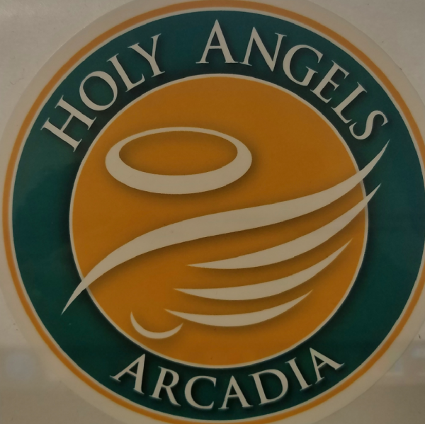 Holy Angels Team Logo