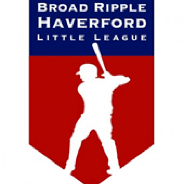 AAA Baseball - Nationals Team Logo