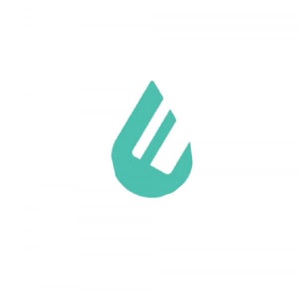 PaymentSpring Team Logo