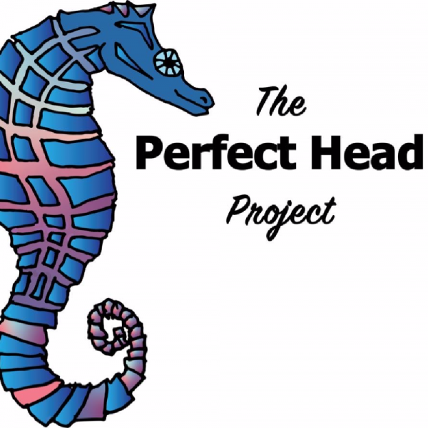 The Perfect Head Project Team Logo