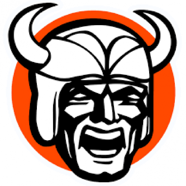 Northwood Bald Vikes 2020 Team Logo