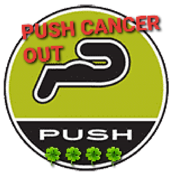 PUSHcancerTheF-out! Team Logo