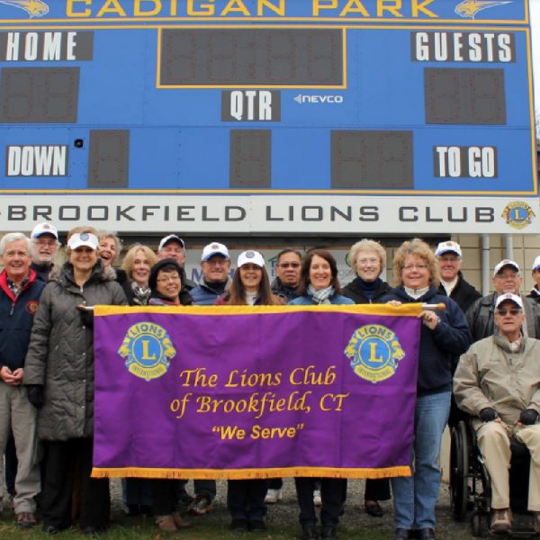 Brookfield Lions Team Logo