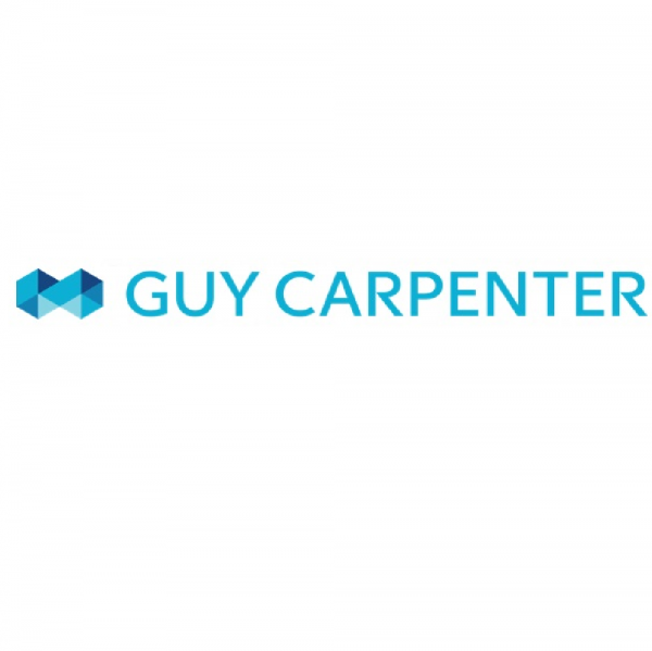 Guy Carpenter 2020 Team Logo