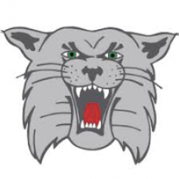 Team Wildcat Team Logo