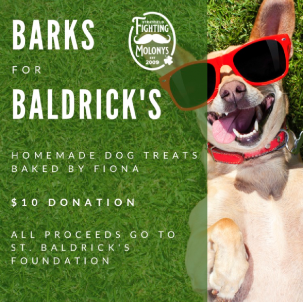 Barks for Baldrick's Team Logo
