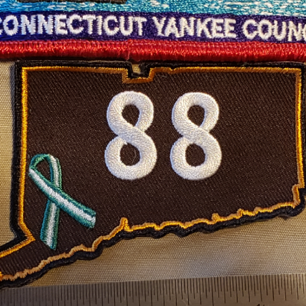Scout Troop 88 Team Logo