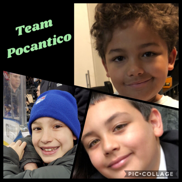 Team Pocantico 2020 Team Logo