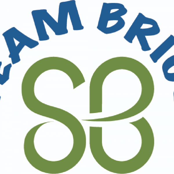 TEAM BRIGS Team Logo