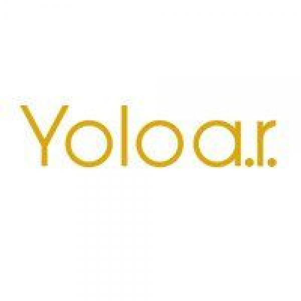 Yolo REALTORS Team Logo