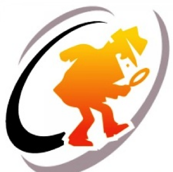 Assurance Investigations Team Logo