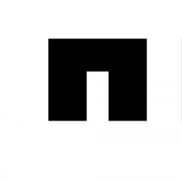 NetApp Team Logo
