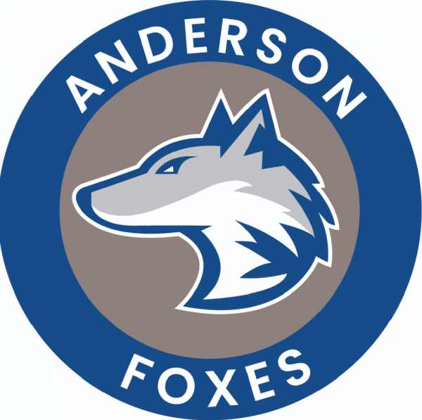 Anderson School Gives Back Team Logo