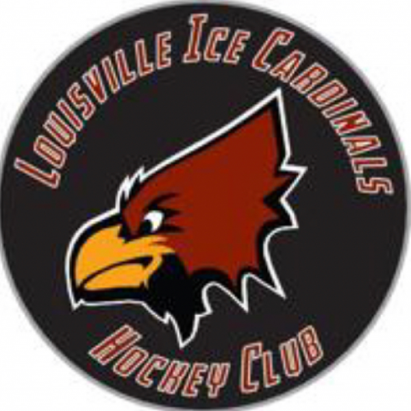 Icecards Team Logo