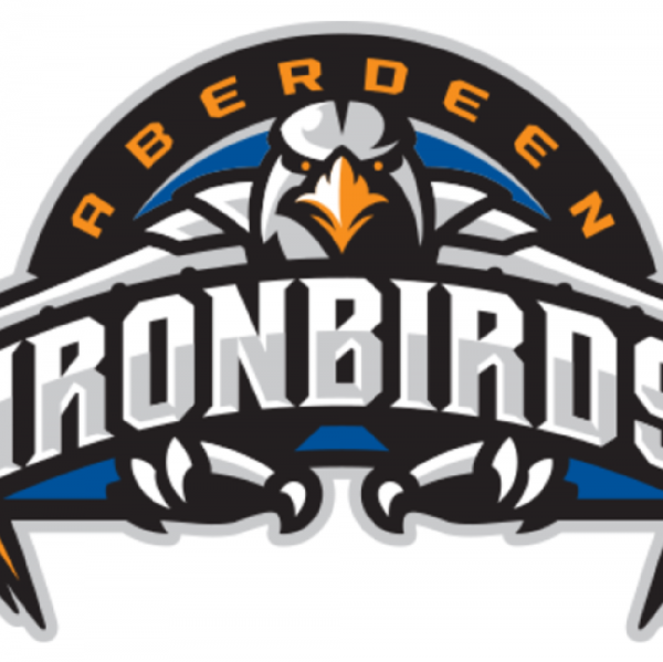 Rookies Tee Ball-Iron Birds Team Logo