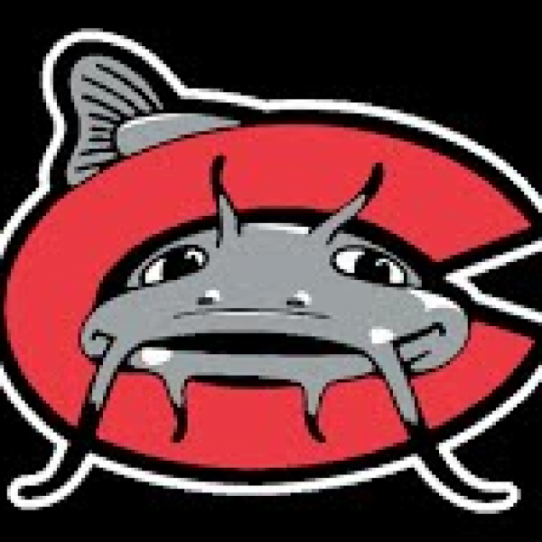 Rookies Tee Ball-Mudcats Team Logo