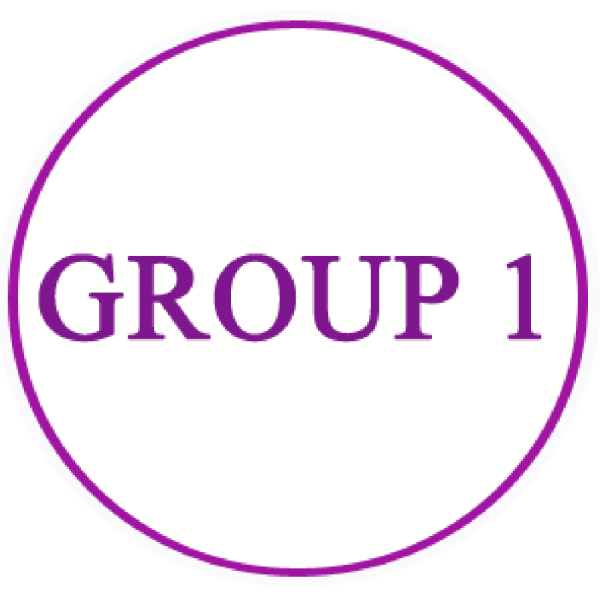Performance Group 1 Team Logo