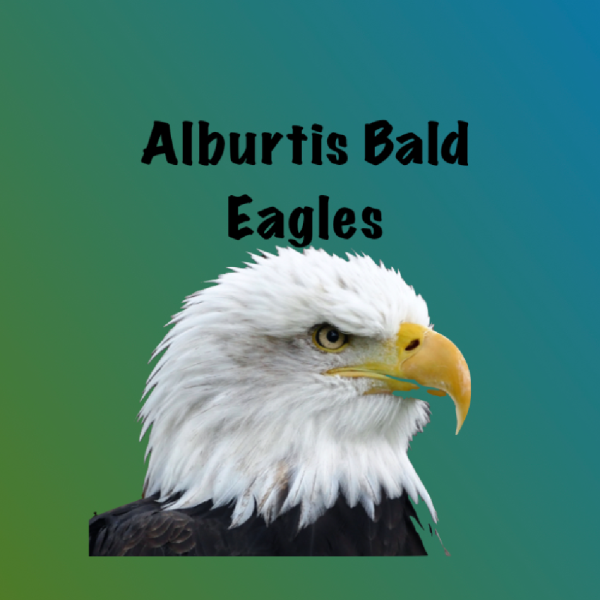 Alburtis Bald Eagles Team Logo