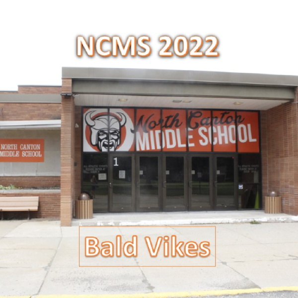 NC Middle School Bald Vikes 2022 Team Logo