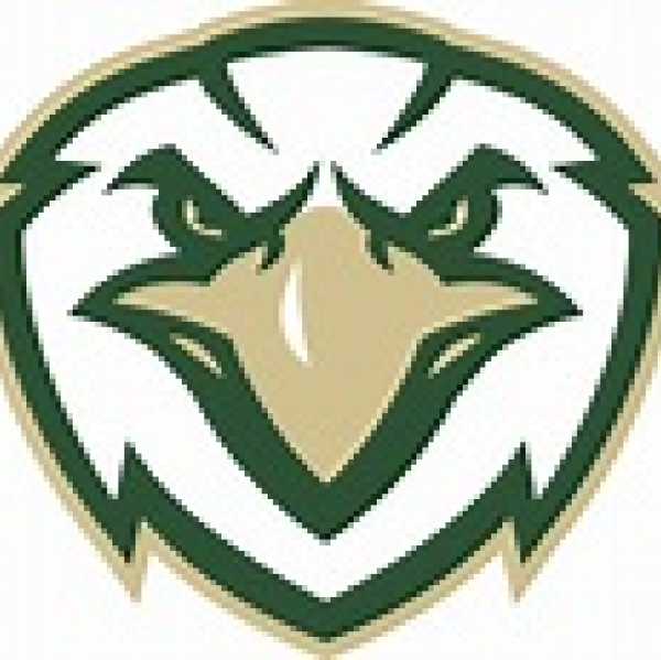 Oakwood Bald Eagles Team Logo