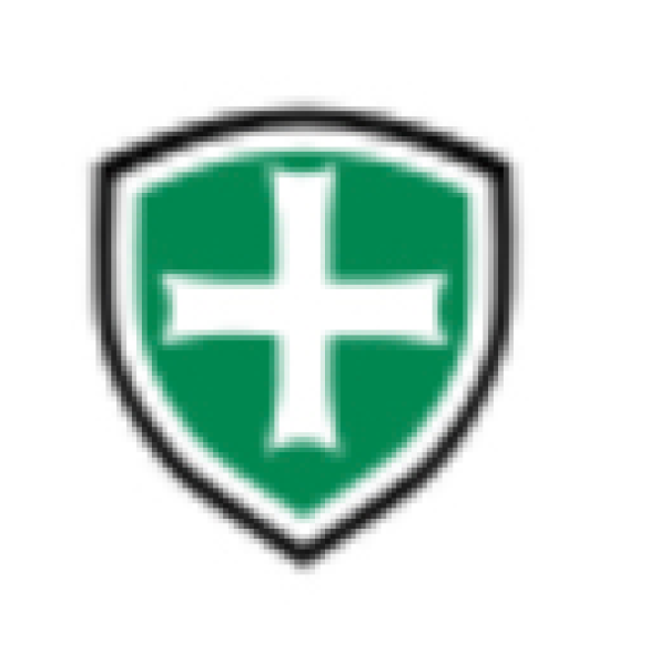 SJSDG Team Logo
