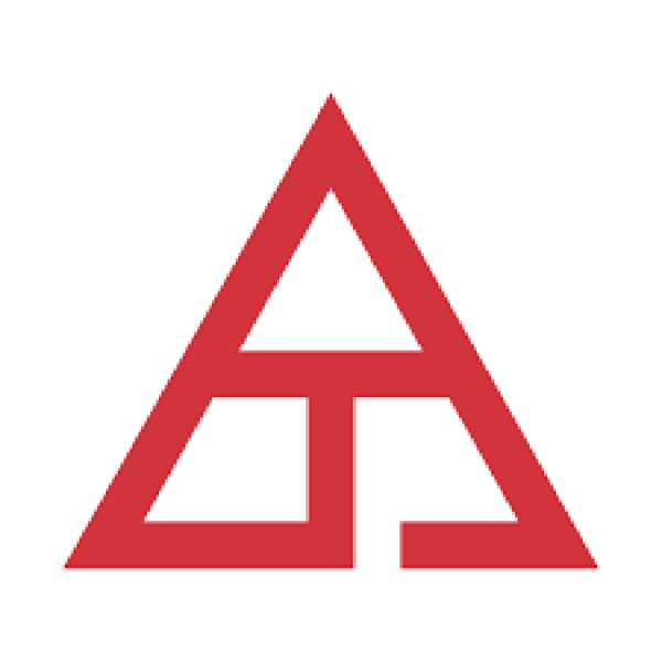 Triangle Team Logo