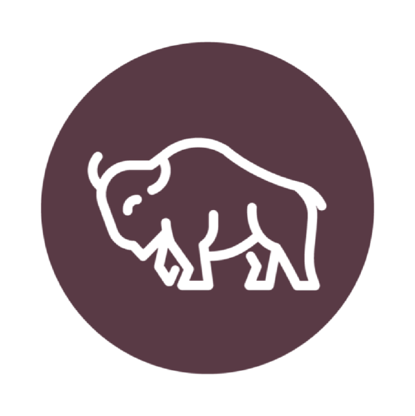 Buffalo Baldies Team Logo