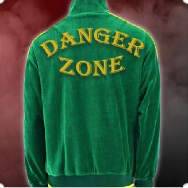 Team Danger Zone Team Logo