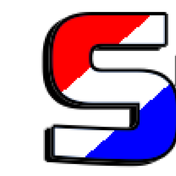 Team Silton Team Logo