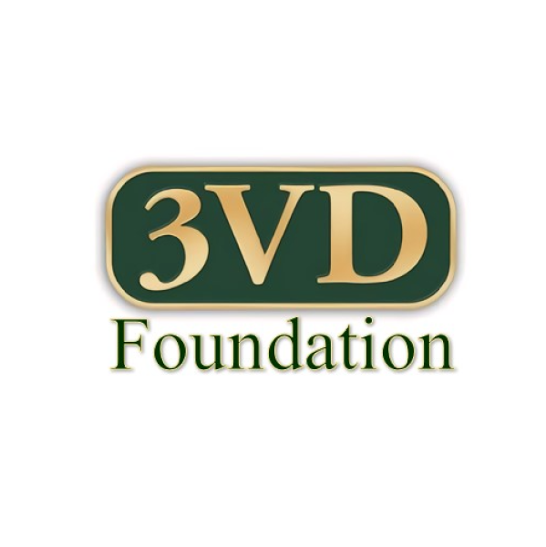 3VD Team Logo