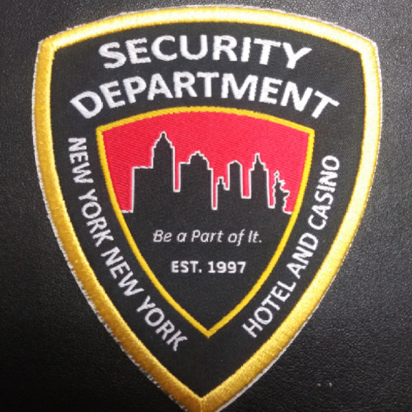 Team NYNY Security Team Logo