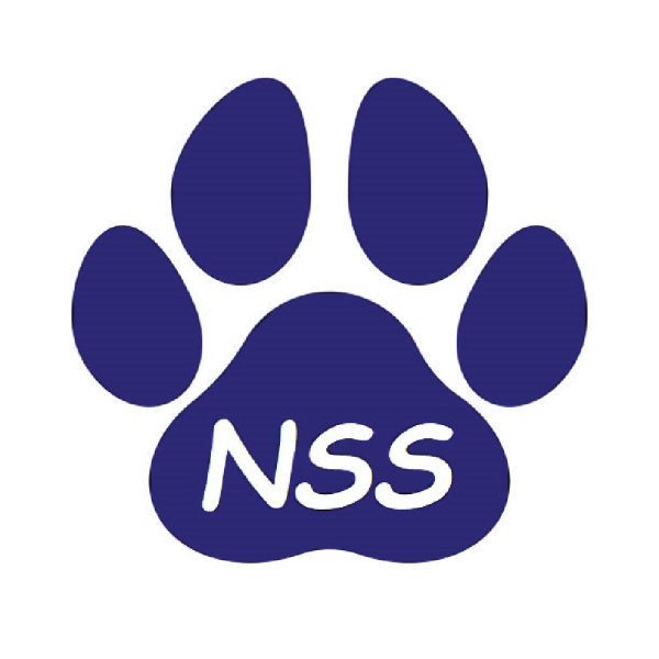 North Stratfield Students Team Logo