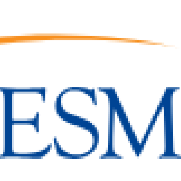 Team ESM Team Logo