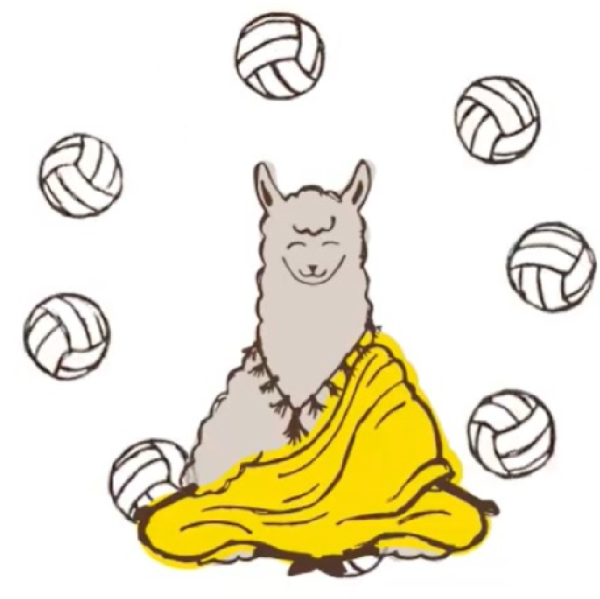 Volley Llamas Team Logo